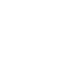 Trapano